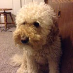 Robert Burk - @boacon6516 - Instagram
