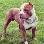robertburk - @robertburk - Instagram