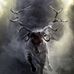 Robert Hurd-Burnell - Facebook