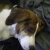 Robert Boutchyard - Facebook