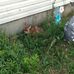 Robert Butner - Facebook
