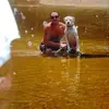 Robert Byland - @robert.byland - TikTok