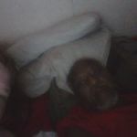 Robert Bynum - @bigmamma912 - Instagram
