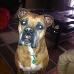 Robert Cairo - @robert.cairo.14 - Instagram