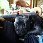 Robert Calandra - @livingbreathingbobby - Instagram