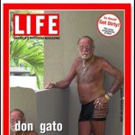 Robert. L Calandra - @dongato7373 - Instagram