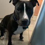 Robert LaCalandra - @robertlacalandra - Instagram