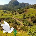 Robert Caldera - @robert.caldera.5203 - Instagram