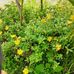 Robert Kiala - Facebook
