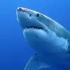 Robert Calkins - @user612336694 - TikTok