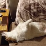 Robert Callanan - @robert.callanan.1253 - Instagram