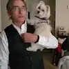 Bob - @robertcallender - TikTok