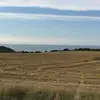 roberto campillo - @roberto.campillo - TikTok