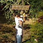 Robert Candido - @candidorobert - Instagram