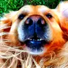 Robert Canning - @robertcanning631 - TikTok