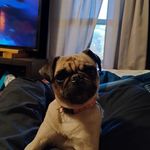 Robert Cantrell - @robert_cantrell1351 - Instagram