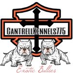 Robert Cantrell - @cantrellkennels775 - Instagram