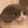 Robert - @robertcaplan99 - TikTok