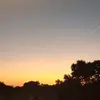 Capote Robert - @capote.robert - TikTok
