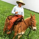Robert Wilson - @robertcaputo05 - Instagram