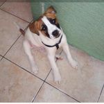 Robert Carbone - @carbone3539 - Instagram