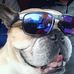 Roberto Carella - Facebook