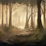 Robert Caris - Facebook