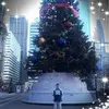 Robert Cariss - @robertcariss - TikTok