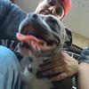 C.R.O.P - @robertcarls - TikTok