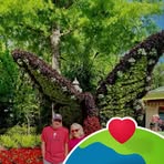 Robert Carmean - Facebook