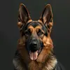 Robert Carr - @robert.carr196 - TikTok