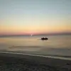 Roberto Carrano - @roberto.carrano - TikTok