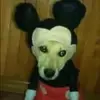 Robert Carrasco - @roberthasautopilotmodeon - TikTok