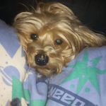 Robert carreira_h - @robert.carreira - Instagram