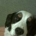 Robert Carriveau - Facebook