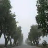 Robert Carroll - @robertcarroll296 - TikTok
