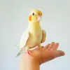 RobertCarter - @31022783481 - TikTok
