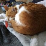 Robert Cary - @robert.cary.5 - Instagram