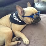 Robert Cashin - @cashin5961 - Instagram