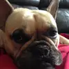 Robert Cashin - @robert.cashin6 - TikTok