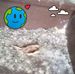 Robert Cason - Facebook
