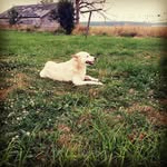 Robert Shade Casper - @robertcasper4409 - Instagram