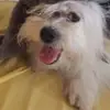 Robert Castor - @robert.castor0 - TikTok