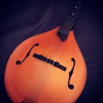 Robert Castonguay - @castonguay_robert - Instagram