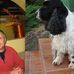 Robert Catalan - Facebook