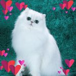 Robert Cates - @rcates03 - Instagram