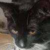 Robert Cates - @robertcates_6020 - TikTok