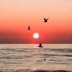 Roberto Catillo - Facebook