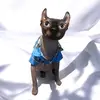 Robert Cattinson - @robert.cattinson - TikTok