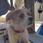 Robert Caudill - @rscaudill1 - Instagram
